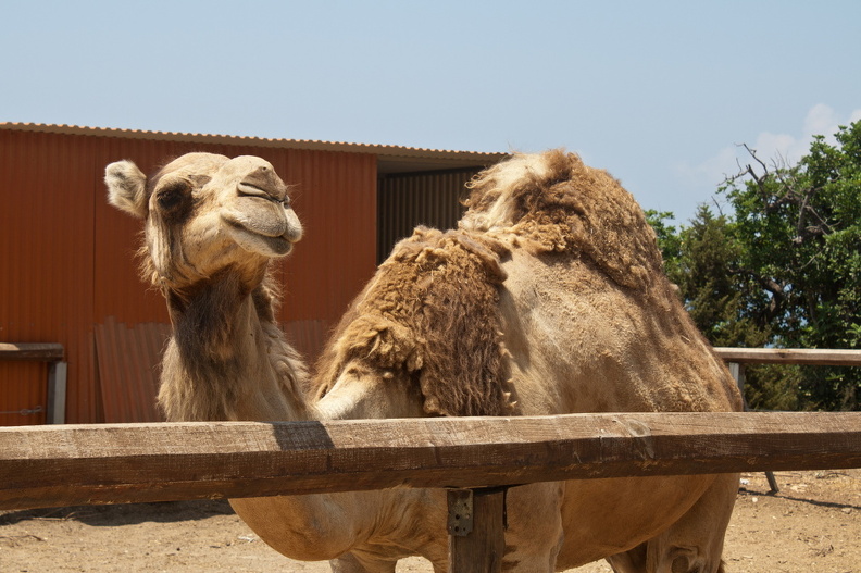 20120724_Cyprus_083.jpg